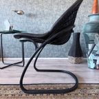 4X Pascale Dining Chairs By Gastone Rinaldi For Thema, 1970S thumbnail 19