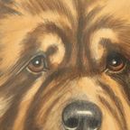 Vintage Ingelijste Kleuren Litho Hond Chow Chow Gesigneerd thumbnail 8
