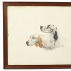 Kleuren Litho Leon Danchin Jachthond Spaniël Genummerd 150-300 thumbnail 2