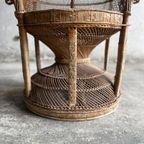 Emmanuelle Peacock Wicker Chair thumbnail 8