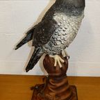 The Falconer Giuseppe Armani Limited Edition thumbnail 9