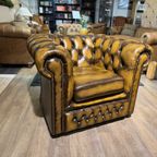 Engelse Springvale Chesterfield Clubfauteuil Goud Bruin In Nieuwstaat thumbnail 3