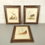 Mads Stage - 3 Prenten Met Vogels thumbnail 2