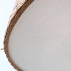 Nk43 – Philips Hanglamp Jaren 60 thumbnail 6