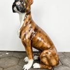 Keramiek Porseleinen Beeld Van Hond Boxer, 1970'S thumbnail 2