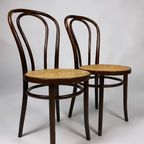 Set Of 2 Bentwood No 18. Chairs By Zpm Radomsko. 1960'S thumbnail 3