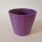 Retro Paarse Bloempot Mand Structuur Kamerplant Pot thumbnail 7