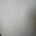 Vintage Winkeltoog / Toonbank : Opmaakproject thumbnail 8