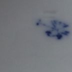 Karl Ens. Paar Vogels Duitsland. thumbnail 3