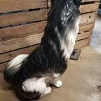 Porselein Beeld Husky Palladio Italy thumbnail 2