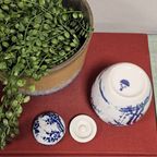 Vintage Gemberpotje Nippon Tokusei Sakura Blossom Patroon Blauw Wit thumbnail 2