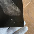 Franciszek A.b. Bilberstein-starowieyski (1930-2009), Moliere, Don Giovanni, 1979, thumbnail 10