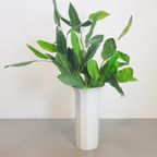 Xl Vloer Vaas Rosenthal Polygon Tapio Wirkkala Studio Line thumbnail 13