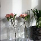 Set Van 2 Flessen Met Dop Firma Zuidam thumbnail 5