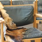 60s Sven Ellekaer X Coja Culemborg Vintage Sofa thumbnail 13