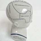 Keramieken 30 Cm Hoge Phrenology Hoofd, 1990’S thumbnail 4