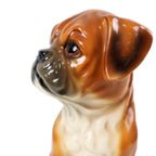 Boxer Puppy Beeld Sculptuur Hond Keramiek Figuurtje 16cm thumbnail 3