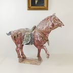 Tang Dynasty Paard thumbnail 22