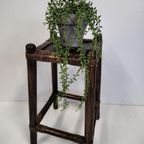 Bamboe Plantentafeltje thumbnail 2