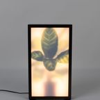 Zuiver Grow Vloerlamp M thumbnail 11