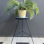 Blue Formica High Plant Table 1960S thumbnail 8