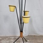 Vintage Jaren 50 Franse Tripod Vloerlamp, Plantenstandaard thumbnail 9