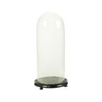 Grote Antieke Stolp Globe Mondgeblazen Glas Begin 20ste Eeuw thumbnail 6