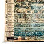 Vintage Xl Schoolkaart De Ontwikkeling Van Het Leven 1969 thumbnail 6
