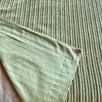 Appeltjes Groen Plaid thumbnail 7