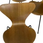 Arne Jacobsen - Fritz Hansen - Butterfly Chair (Very Early Edition) - 1967 - Dark Oak - Set Of 4 thumbnail 7