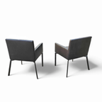 2 X Manet Minotti Arm Chairs 2004 / Dark Brown Leather / Chrome Height 83 thumbnail 6