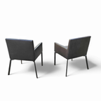 2 X Manet Minotti Arm Chairs 2004 / Dark Brown Leather / Chrome Height 83 thumbnail 5