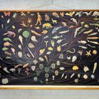 Xl Vintage Linen School Map – ‘relationships Of The Animal Kingdom’ thumbnail 10
