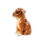 Boxer Puppy Beeld Sculptuur Hond Keramiek Figuurtje 16cm thumbnail 8