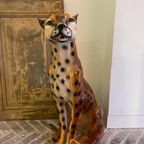 Sisi 🐆 Cheetah Beeld thumbnail 2
