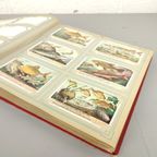 Compleet Album Met Liebig Chromo'S thumbnail 5