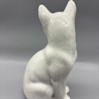 Kat Wit Porselein thumbnail 3