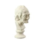 Grote Klassieke Buste Borstbeeld Oude Man Gips 51cm thumbnail 7