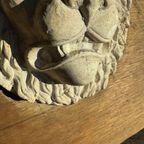Leeuwenkop In Plaaster Door Walter De Buck thumbnail 2