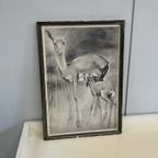 Vintage Hertjes Schilderij H. Van Meegeren Prent Bambi thumbnail 2