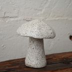 Paddenstoel Terrazzo thumbnail 4