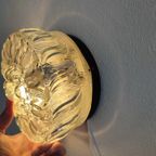 Vintage Plafondlamp Plafonnière Wandlamp Glas Organisch thumbnail 15