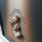 3D Canvas Schilderij thumbnail 3