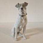 Fritz & Ilse Pfeffer Gotha Germany Porselein Hond Beeld thumbnail 8