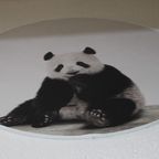 Wandcircel Panda thumbnail 4