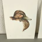Vic Buys - 4 Grafieken Van Dieren thumbnail 6