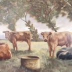 G. Van Belleghem - Xl Schilderij - Koeien In De Weide thumbnail 3