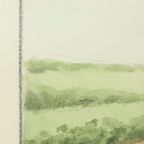 Maurice Brailly Franse Spaniël Hond Vogels Vintage Grafiek 1972 thumbnail 12
