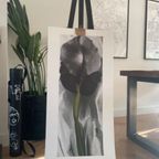 G. O’keeffe (1887-1986), Dark Iris I, 1927, thumbnail 6