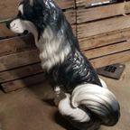 Porselein Beeld Husky Palladio Italy thumbnail 4